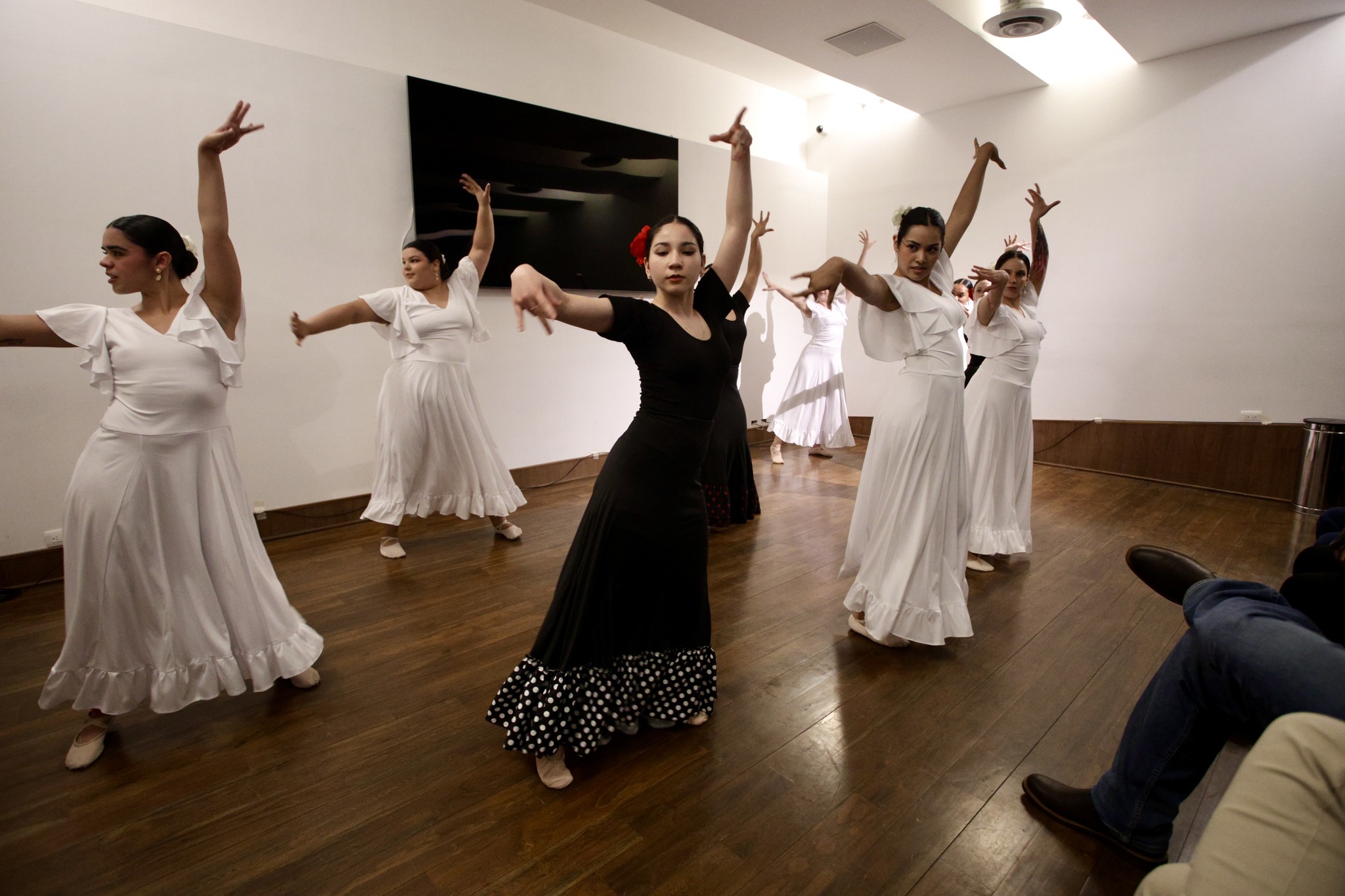 Arte para todos: el Congreso abre sus puertas a la danza