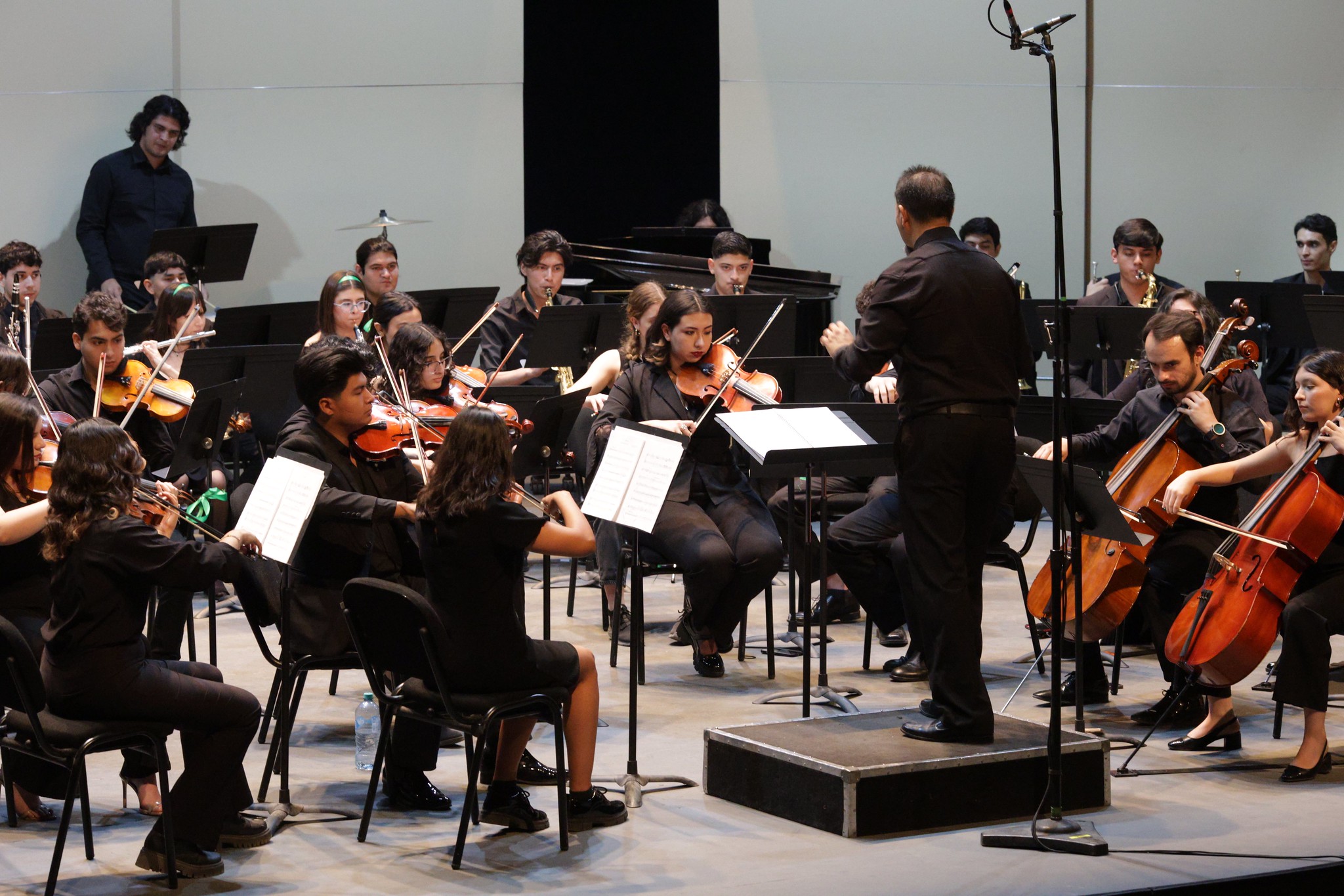 La Ojusson presenta concierto “Entre árboles y danzas tradicionales”